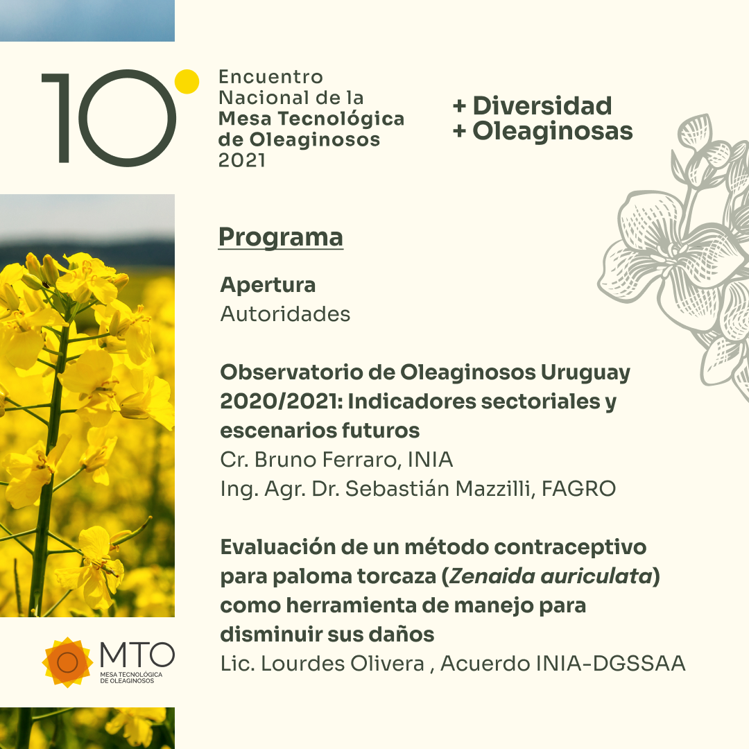 10moMTO_InvitaciónPrograma_IG_01
