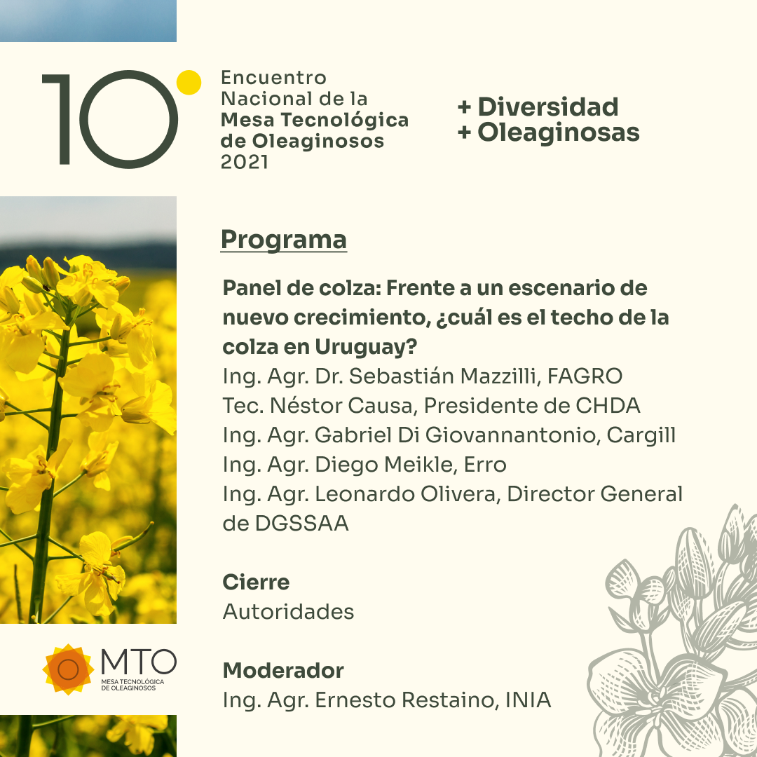 10moMTO_InvitaciónPrograma_IG_02