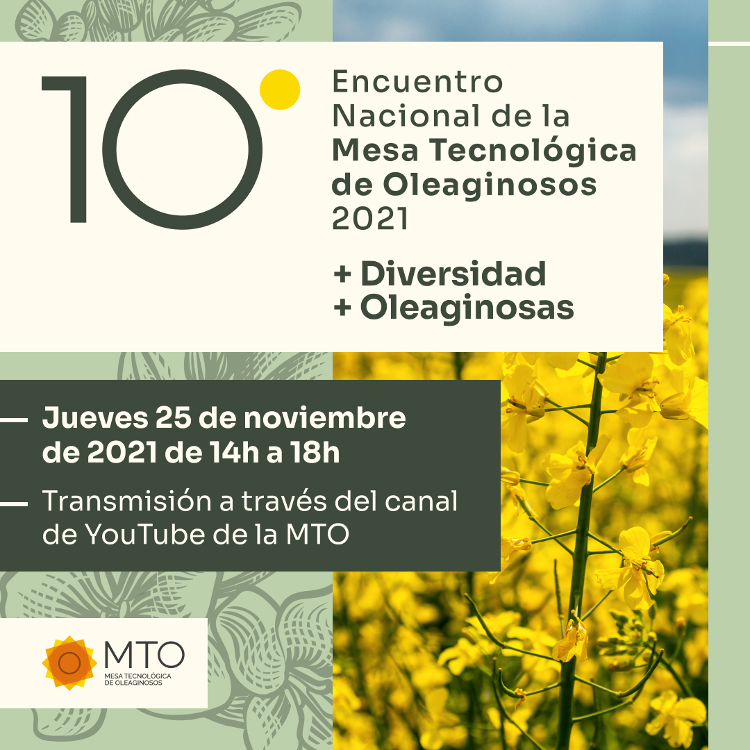 10moMTO_Invitación_IG