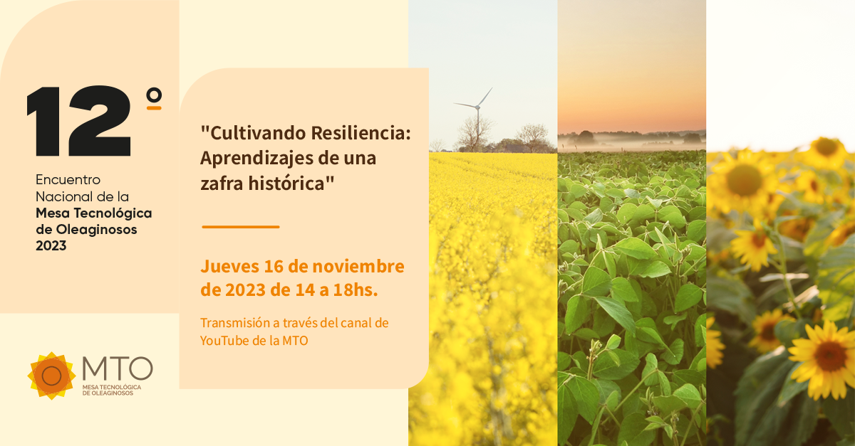 12 Encuentro – Invitación – LinkedIn