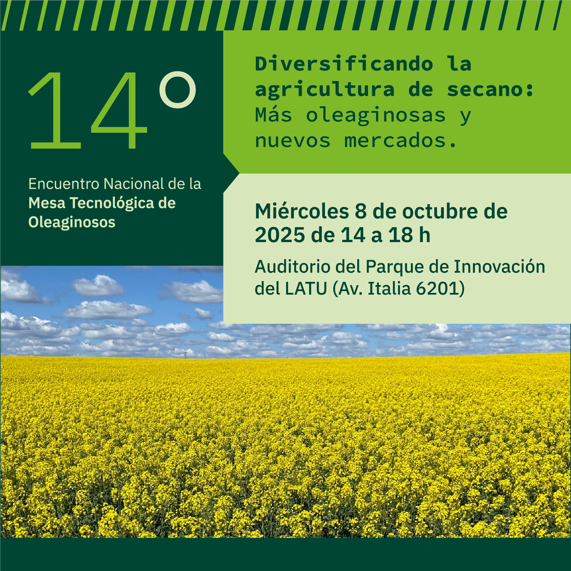 14 MTO_banner web 900×900
