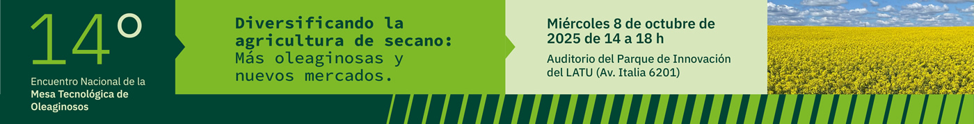 14 MTO_banner web