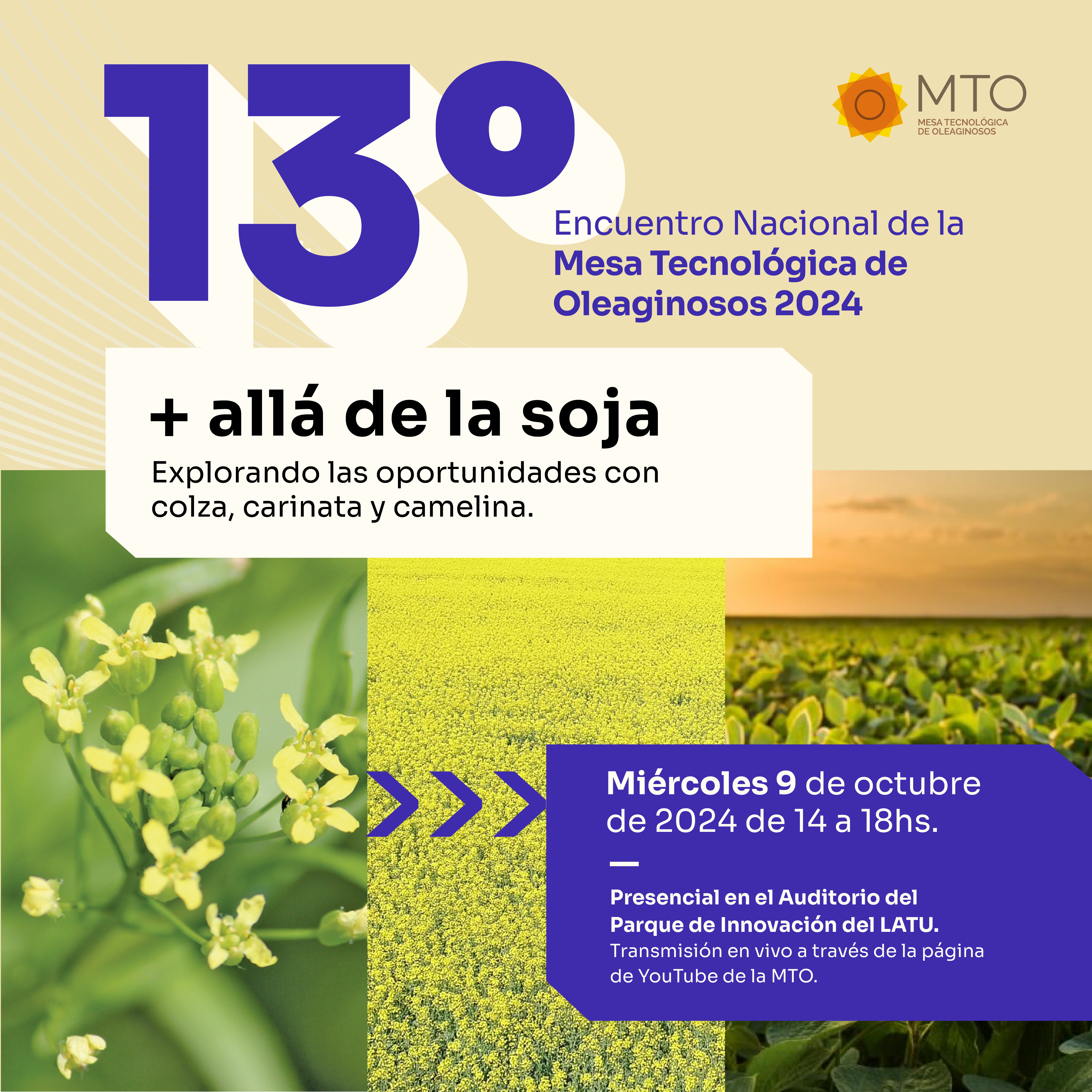 Pieza Invitación_IG